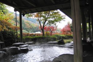 日帰り温泉 こごめの湯 – 湯河原町