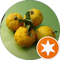 hayasan _hayasan hayasan _hayasan