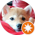 さくら さくら