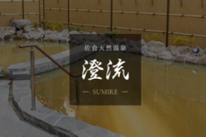 佐倉天然温泉 澄流 - 佐倉市 5 佐倉天然温泉 澄流 – 佐倉市