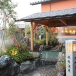 豊田 挙母温泉 おいでんの湯 – 豊田市