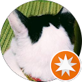 猫好き人間paw 猫好き人間paw